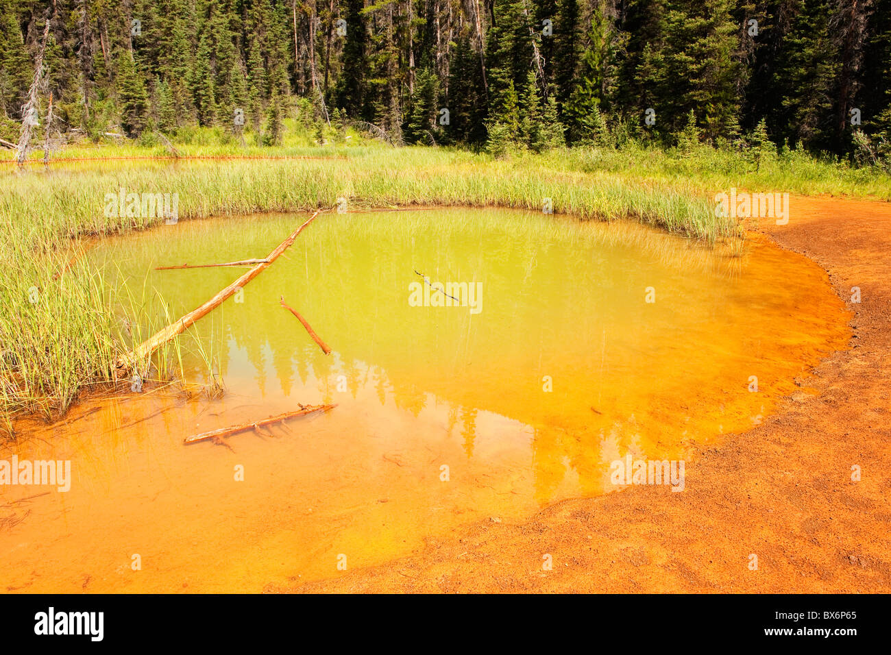 Green pool at The Paint Pots, Kootenay National Park, British Columbia,  Canada Stock Photo - Alamy
