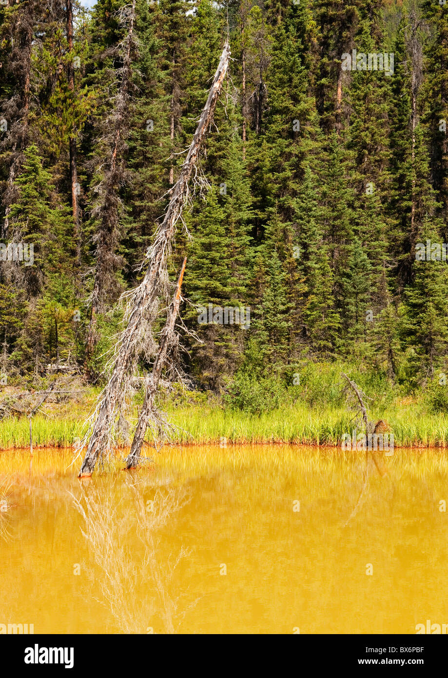 Ochre Coloured Paint Pots High Resolution Stock Photography and Images ...