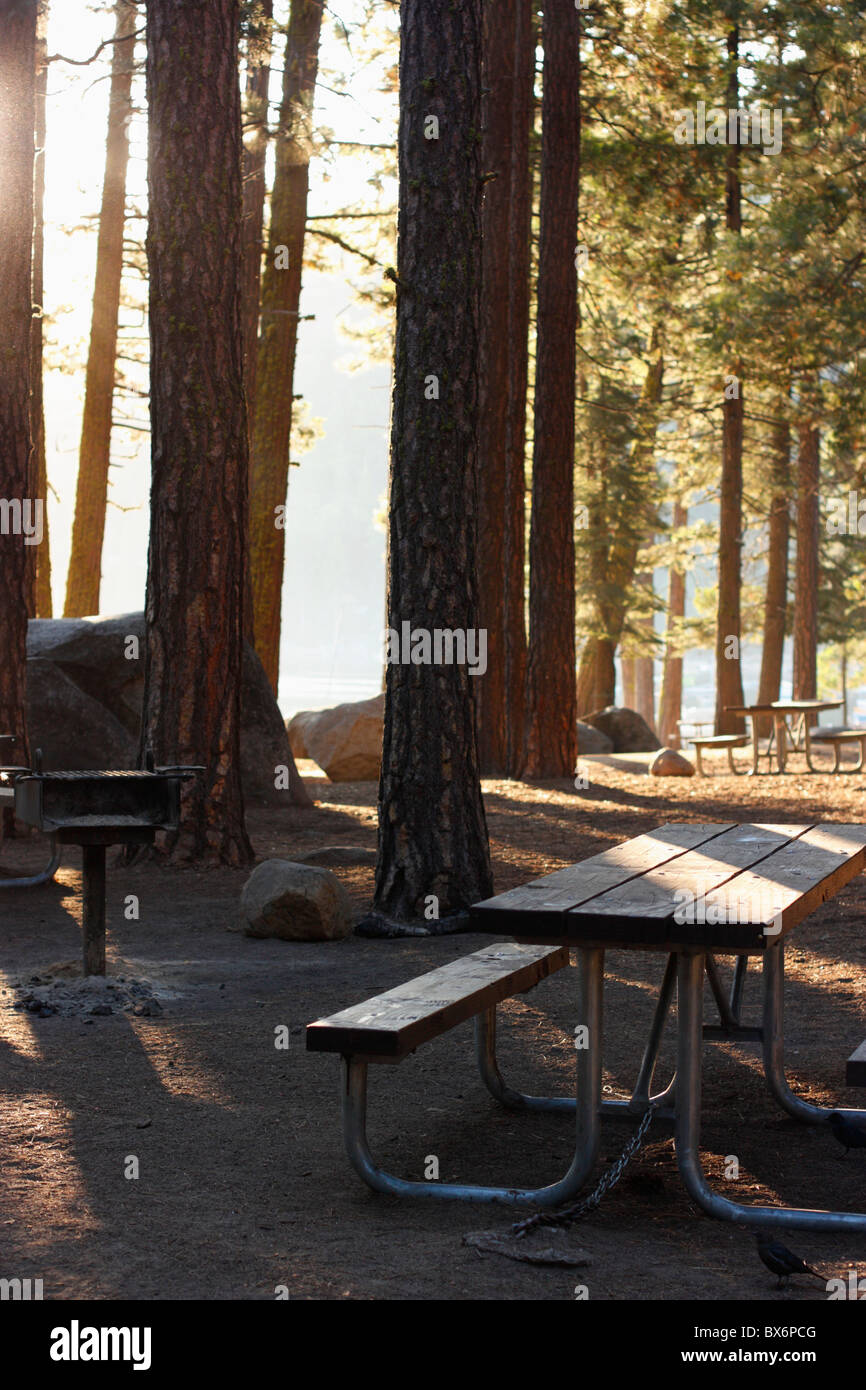 Day camping sites during early morning. Pinecrest Lake, Tuolumne county, California, Stanislaus National Forest, U.S.A. Stock Photo