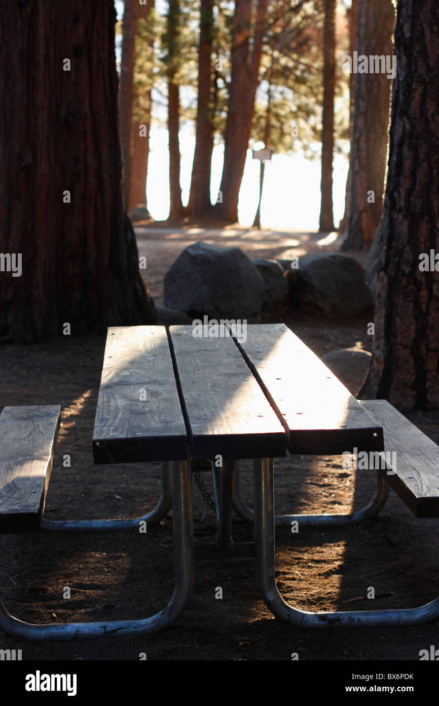 Empty picnic table. Pinecrest Lake, Tuolumne county, California, Stanislaus National Forest, U.S.A. Stock Photo