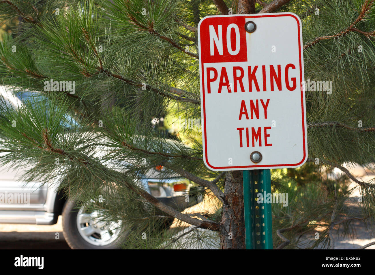 No Parking sign at Pinecrest Lake, Tuolumne county, California, Stanislaus National Forest Stock Photo