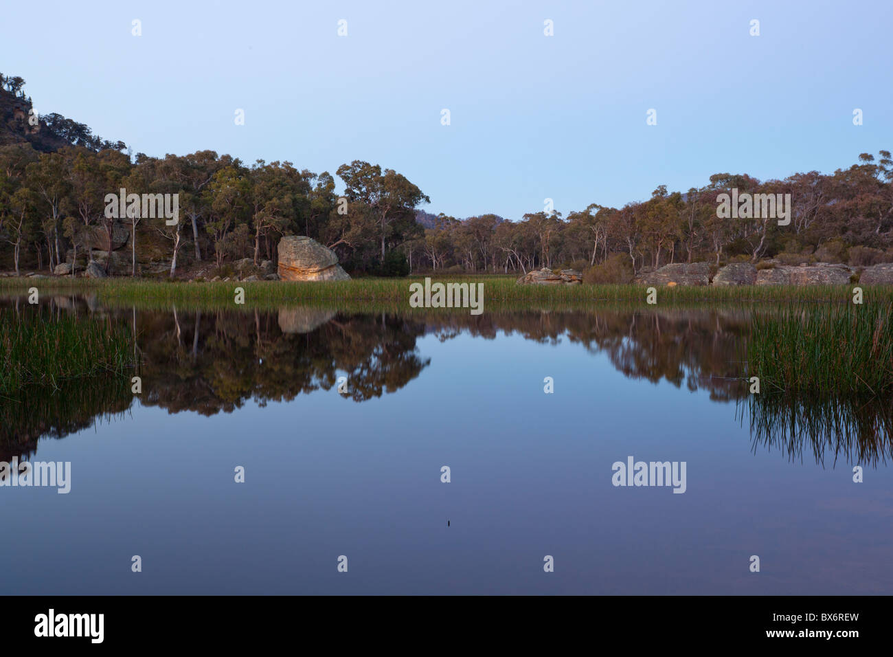 Dunns Swamp at Dusk in Wollemi National Park, Rylstone, New South Wales Stock Photo