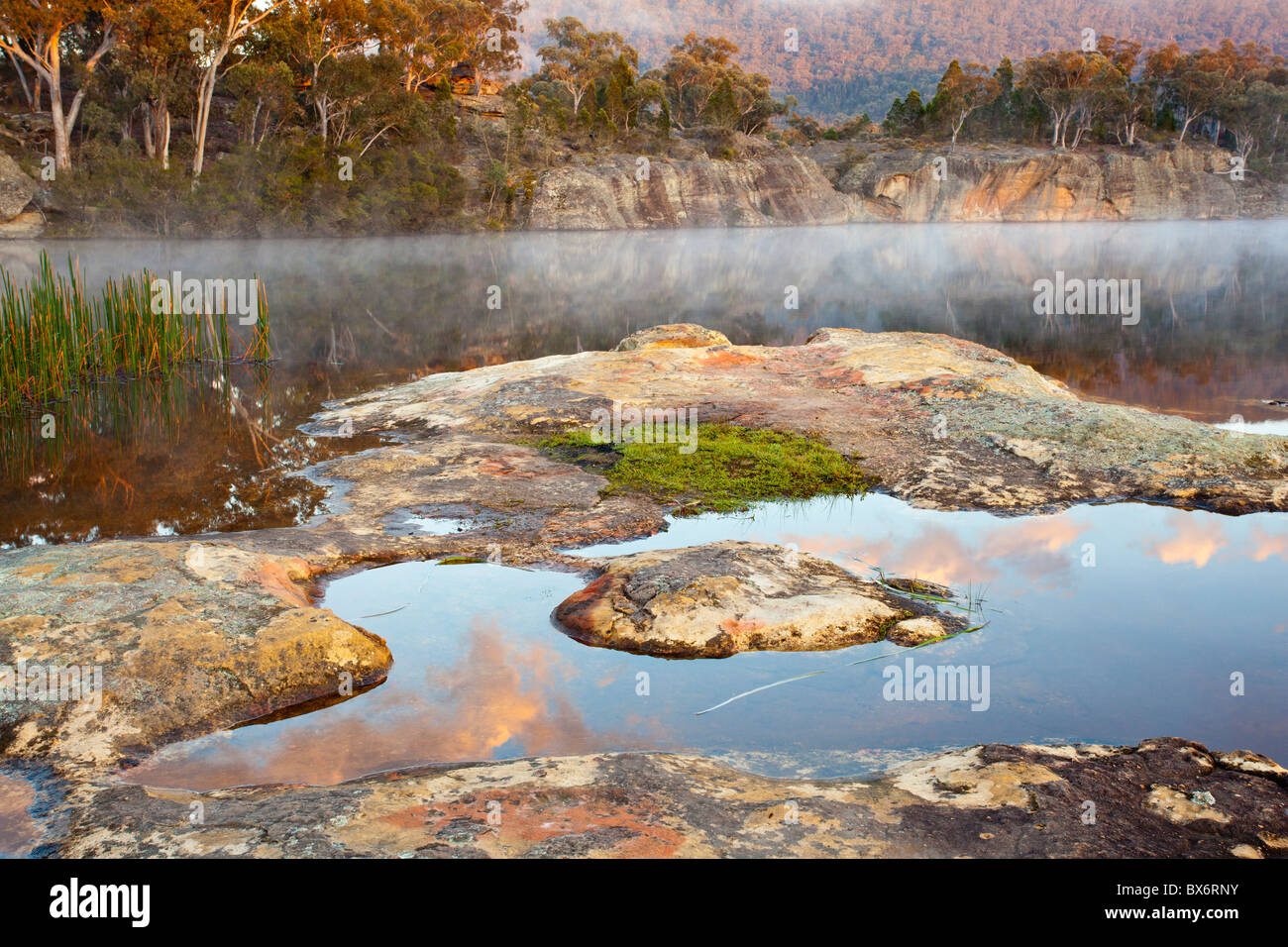 Morning mist at Dunns Swamp, Wollemi National Park, Rylstone, New South Wales Stock Photo