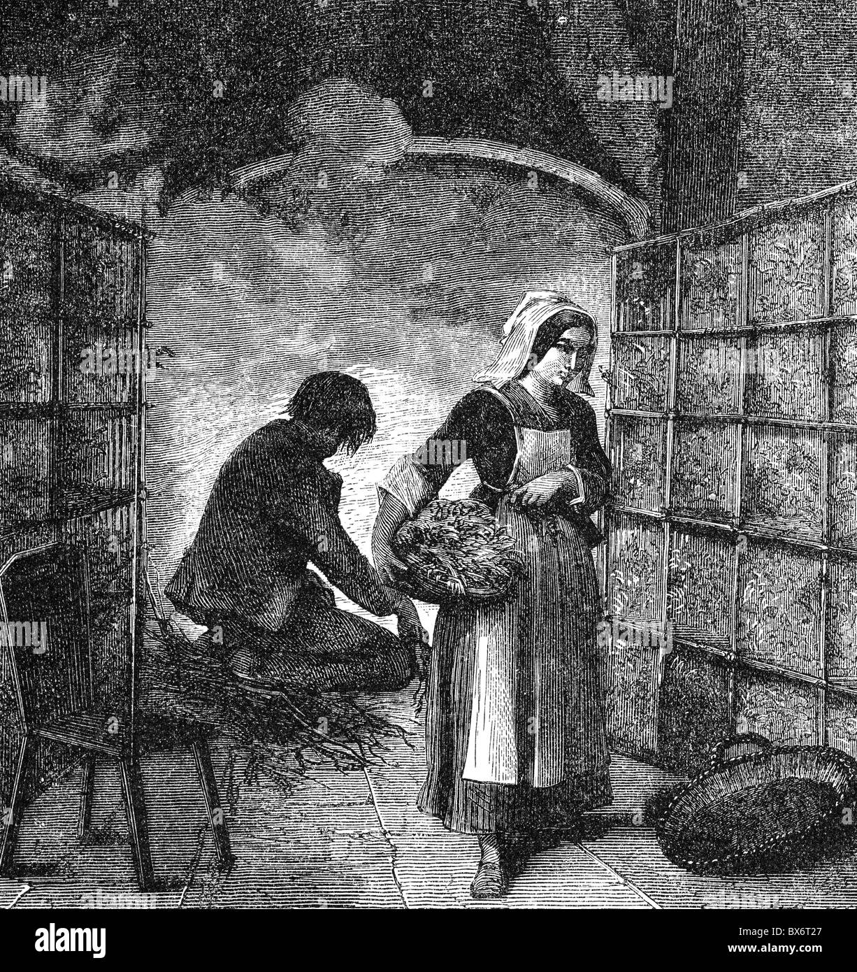 industry, textile industry, silk, breeding silk worms, wood engraving, France, 19th century, production, breed, people, worker, labour, woman, women, historic, historical, female, Additional-Rights-Clearences-Not Available Stock Photo