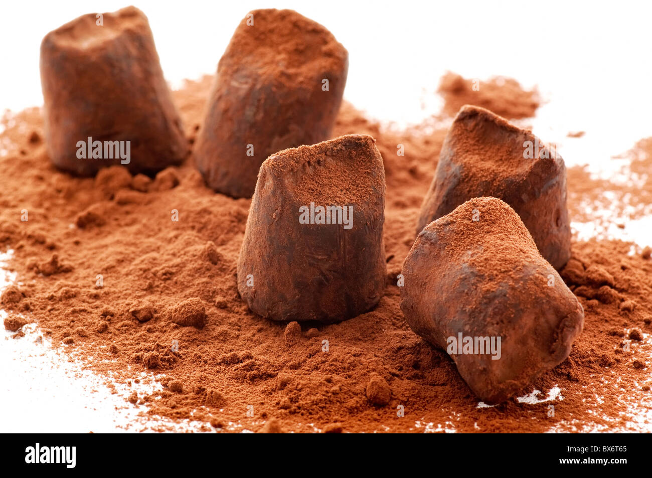 Sweet chocolate truffle with cocoa powder as closeup on white background Stock Photo
