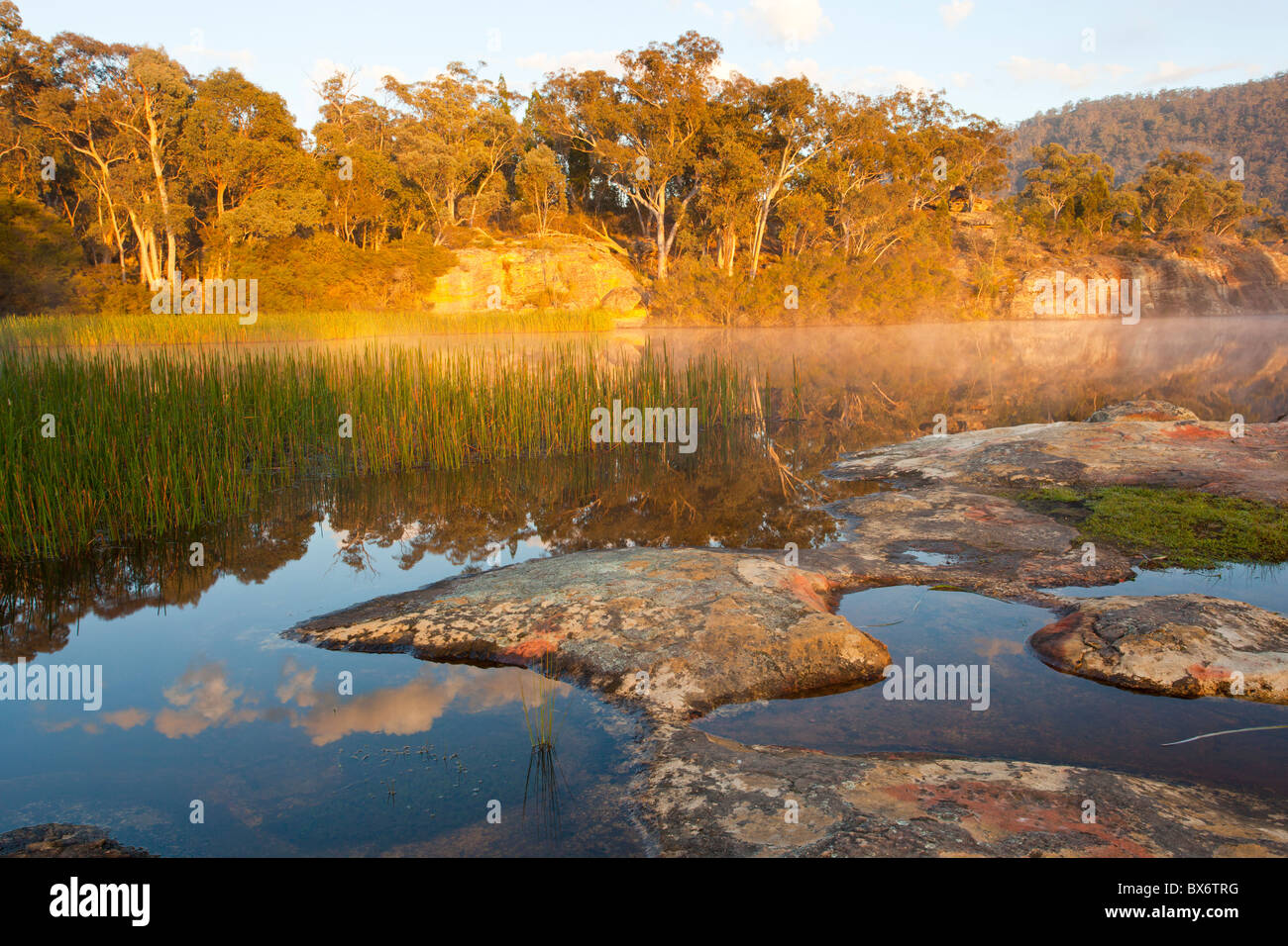 Morning mist at Dunns Swamp, Wollemi National Park,, Rylstone, New South Wales Stock Photo