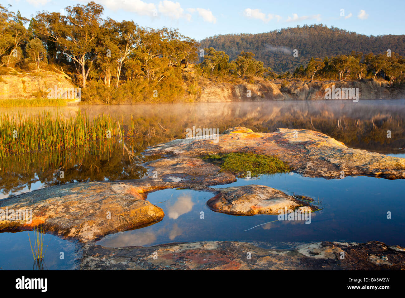 Morning mist at Dunns Swamp, Wollemi National Park, Rylstone, New South Wales Stock Photo