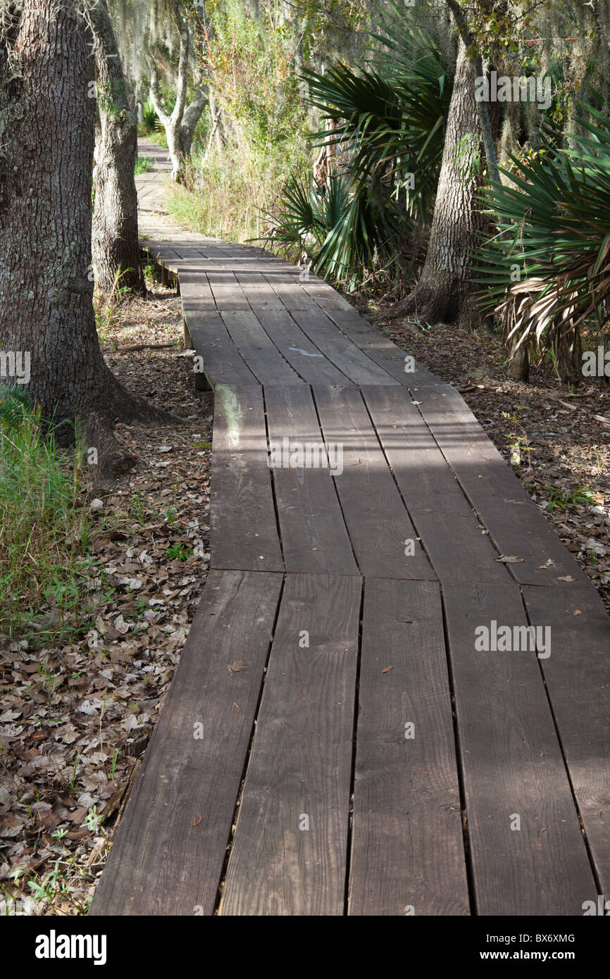 Jean Lafitte Preserve Stock Photo