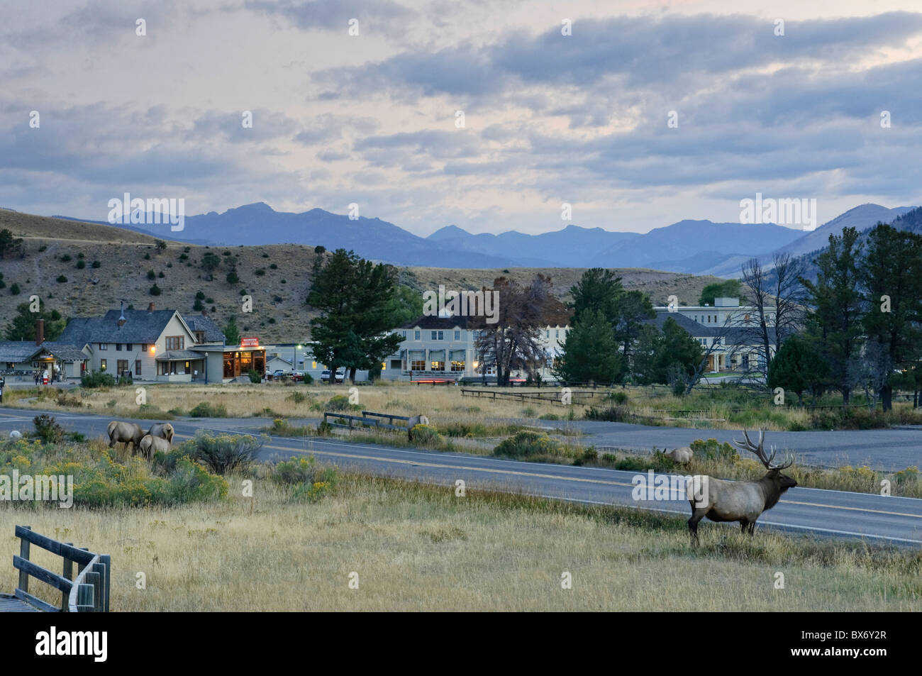 Mammoth Hot Springs Village and Resort, Yellowstone National Park, Wyoming, USA Stock Photo