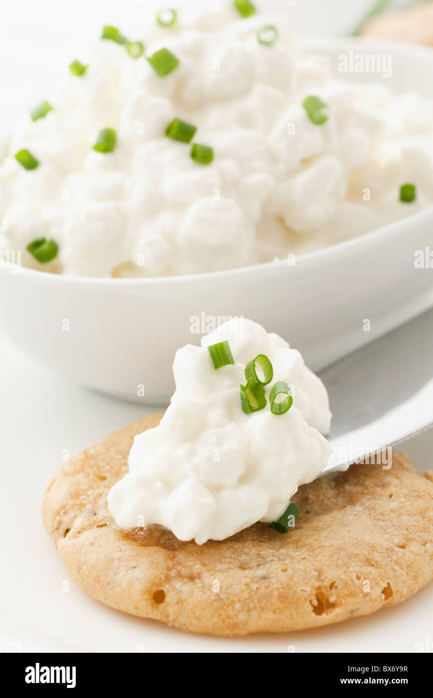 Cottage Cheese On A Cracker As Closeup On White Background Stock