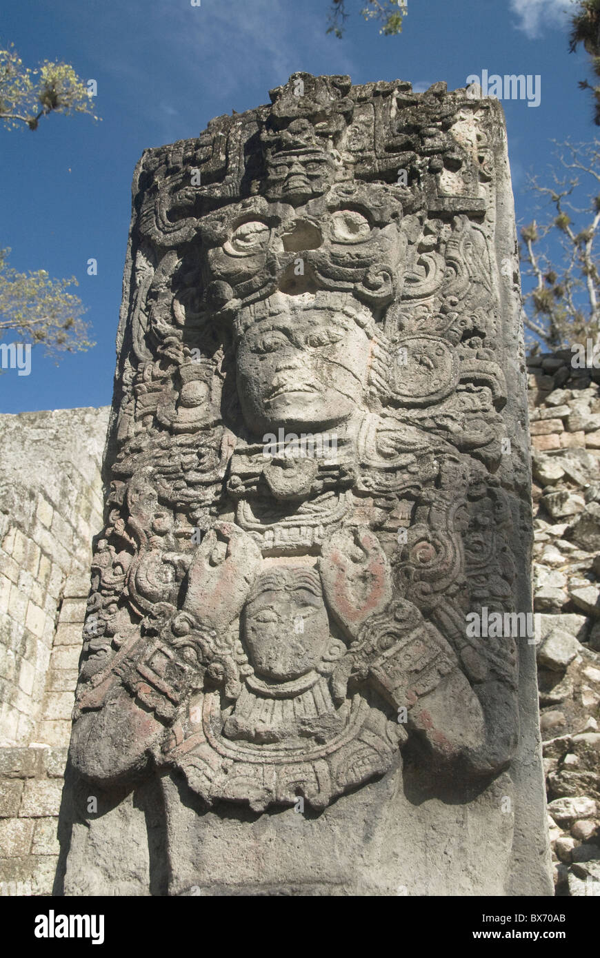 West Court, Stela P, Copan Archaeological Park, Copan, UNESCO World Heritage Site, Honduras, Central America Stock Photo