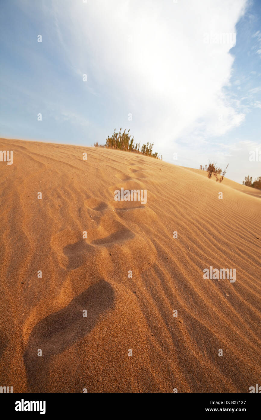 Footprints in  Gobi desert,Mongolia Stock Photo