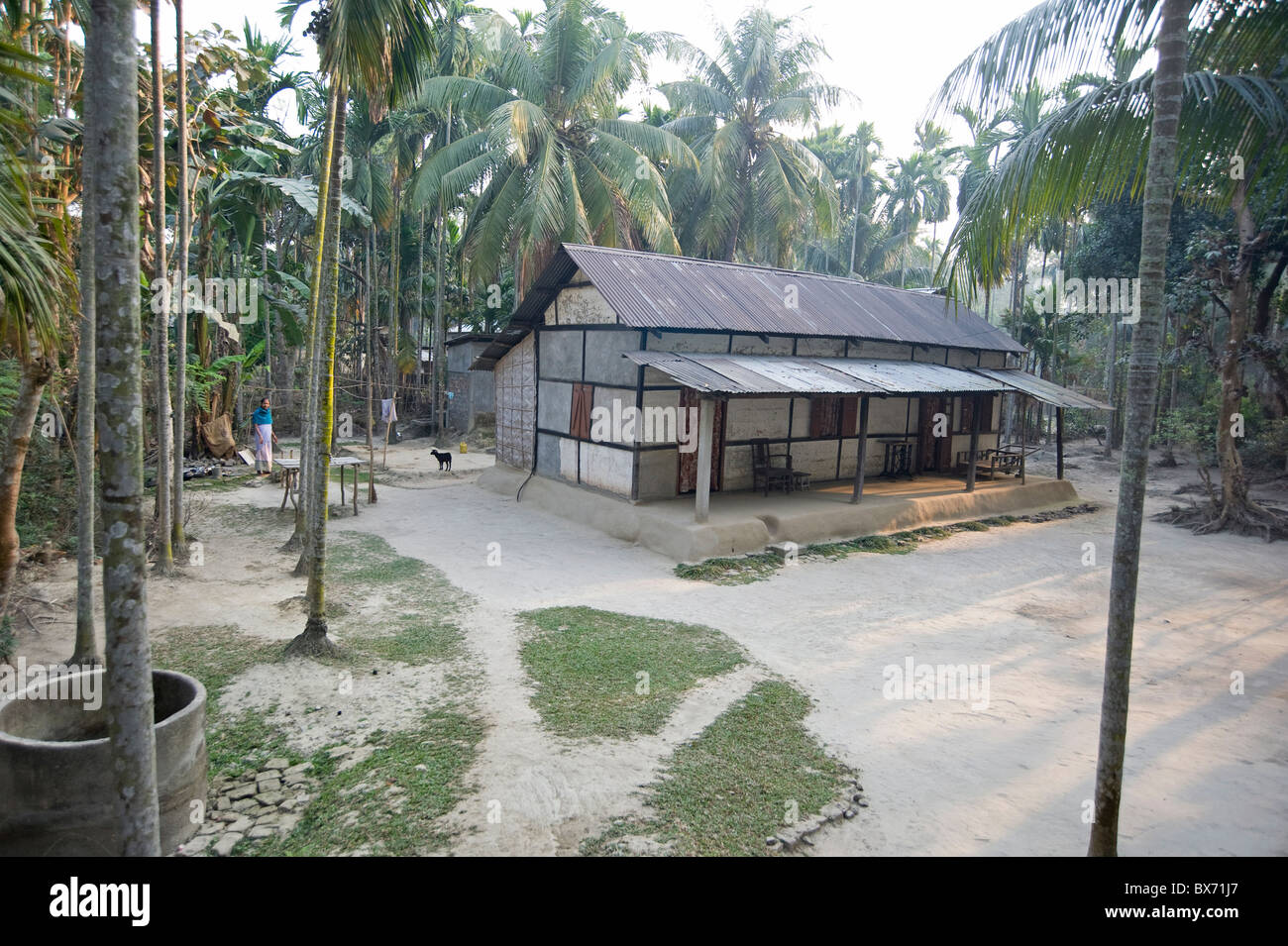 Woman grinding rice in the garden of typical Assamese house in the first light of day, Kurua village, Assam, India, Asia Stock Photo