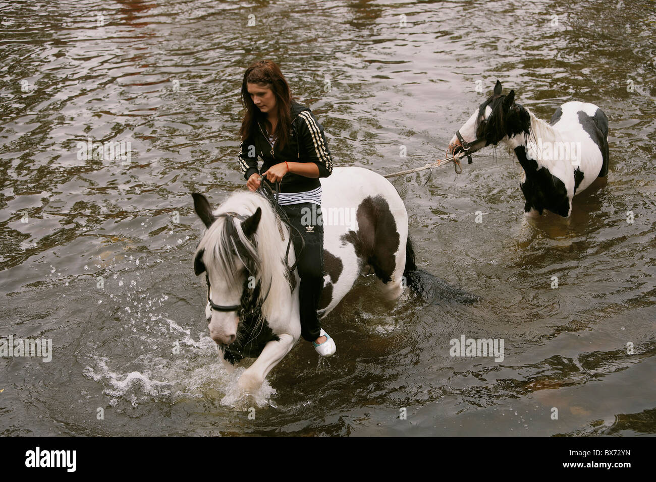 Gypsy travellers riding and washing horses in the river Eden during the ...