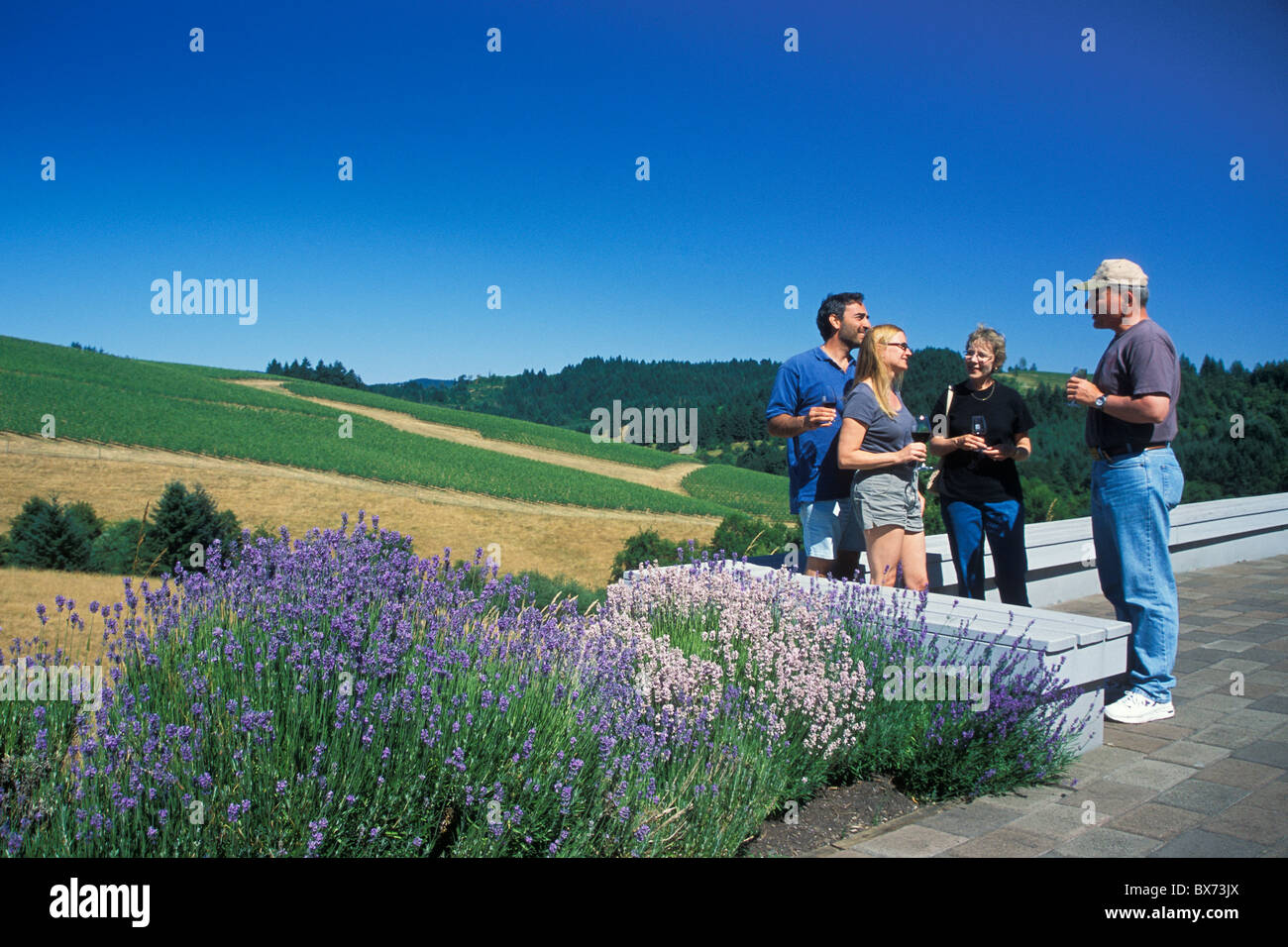 Couples enjoying wine on the patio at WillaKenzie Estate Winery with vineyards behind; Willamette Valley, Oregon. Stock Photo