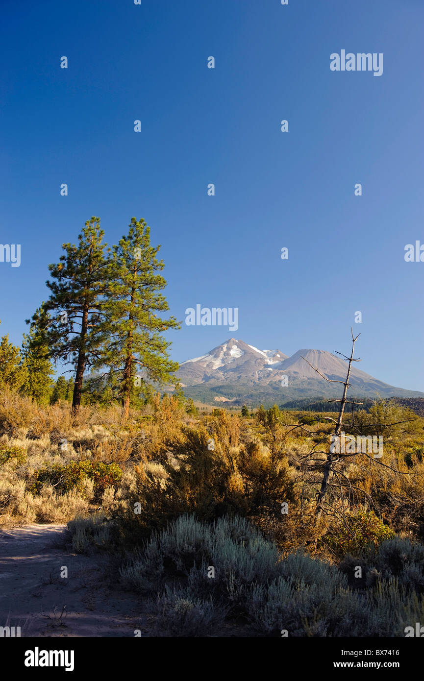 Mt shasta landscape hi-res stock photography and images - Alamy