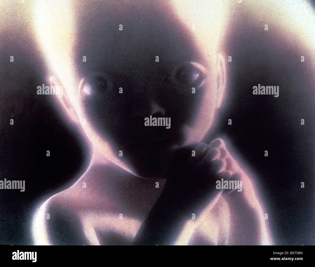 2001: A SPACE ODYSSEY (1968) STANLEY KUBRICK (DIR) TTO 34 MOVIESTORE COLLECTION LTD Stock Photo