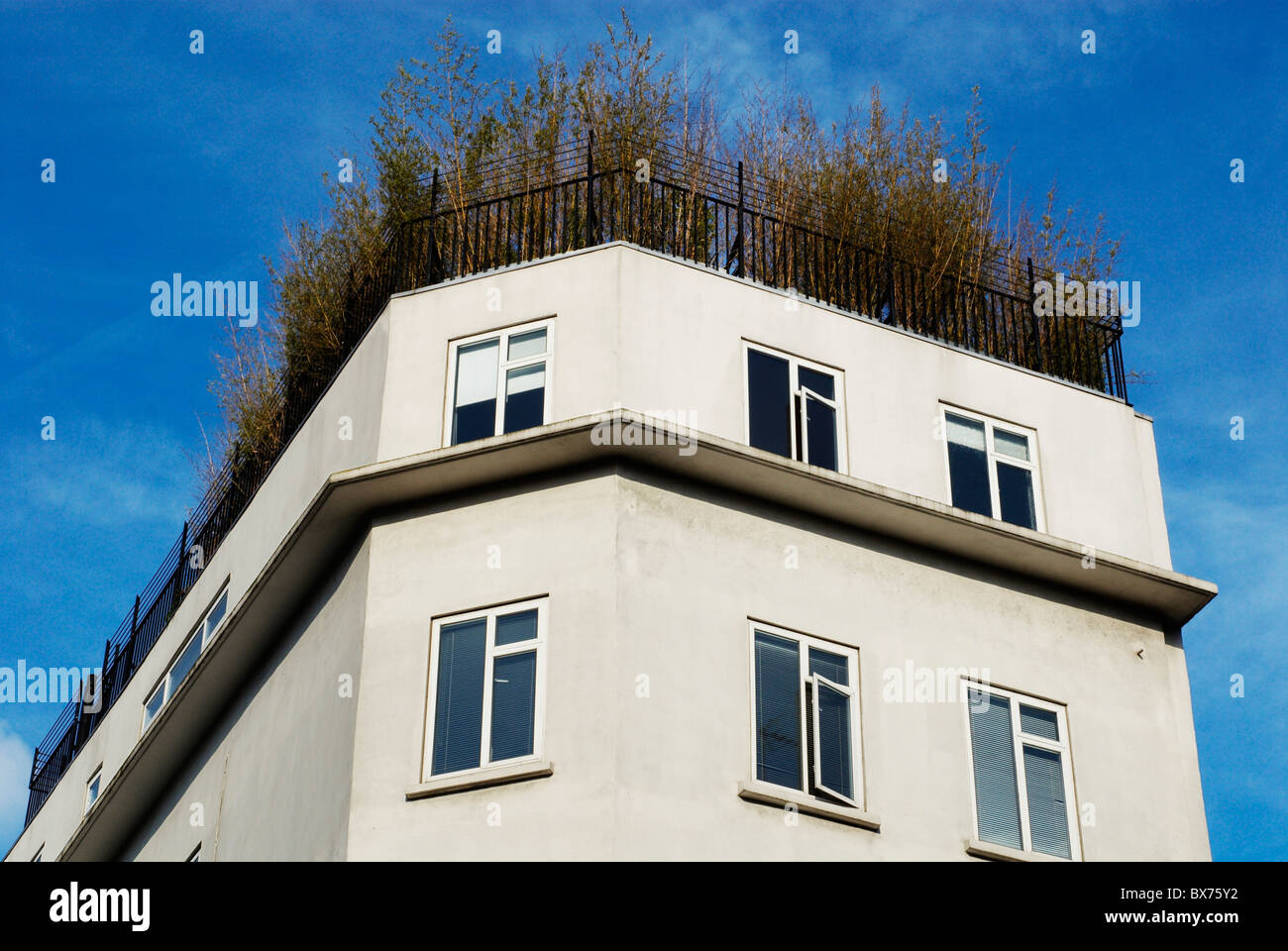 Sky london blue rooftop hi-res stock photography and images - Alamy
