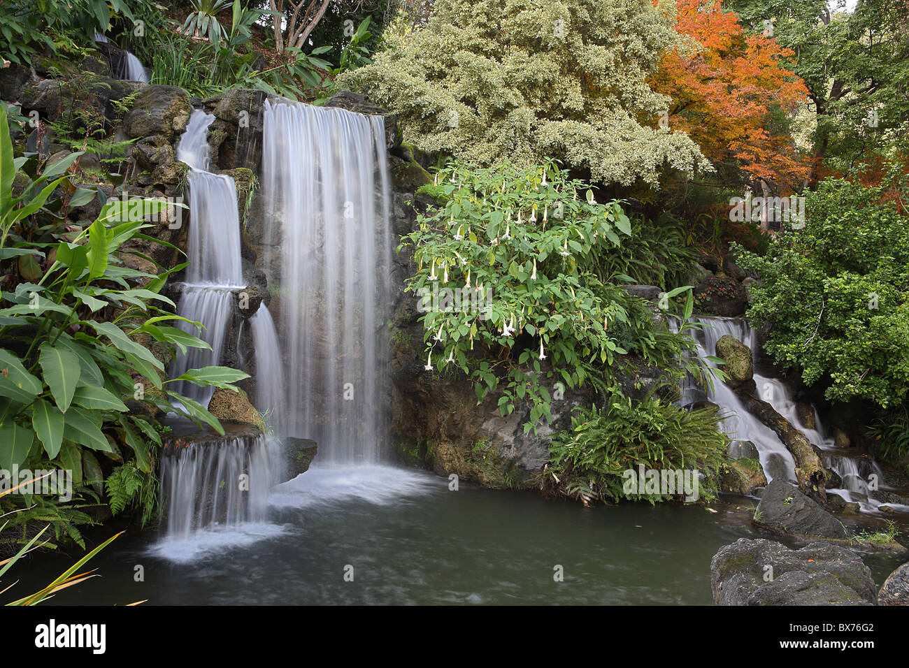 Waterfall in autumn or fall with hanging flowers and colorful orange foliage Stock Photo
