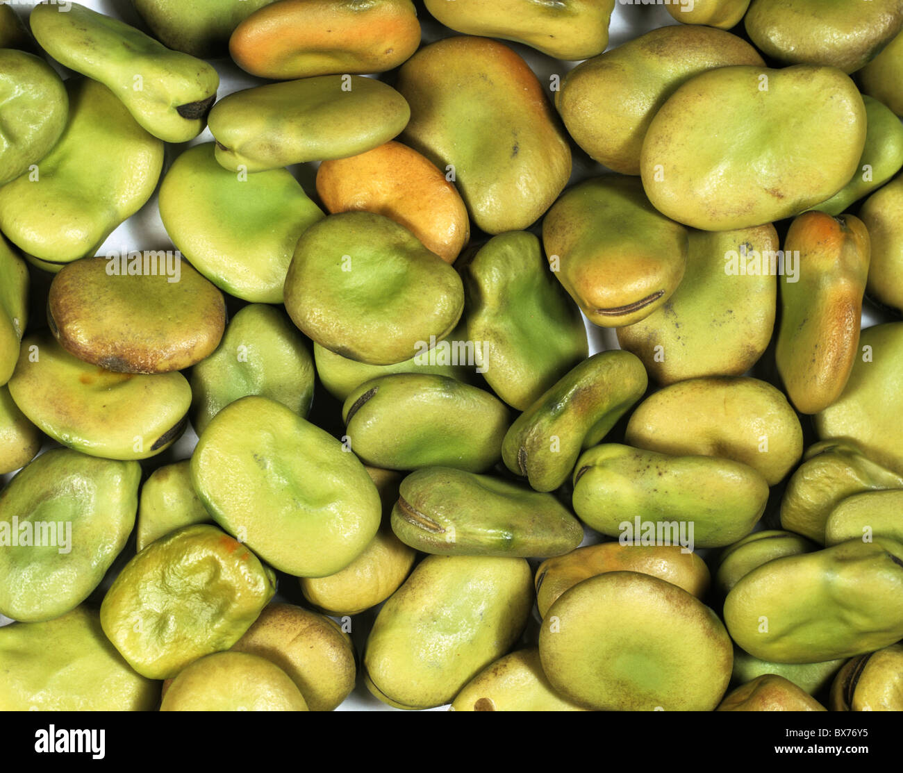 Broad bean seeds (Vicia faba) Stock Photo