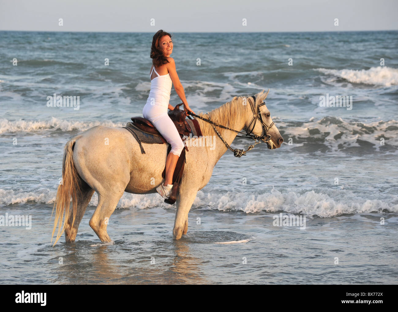 крутые игры про лошадей. лошади на закате. лошади на закате. More riding me. конь на берегу.