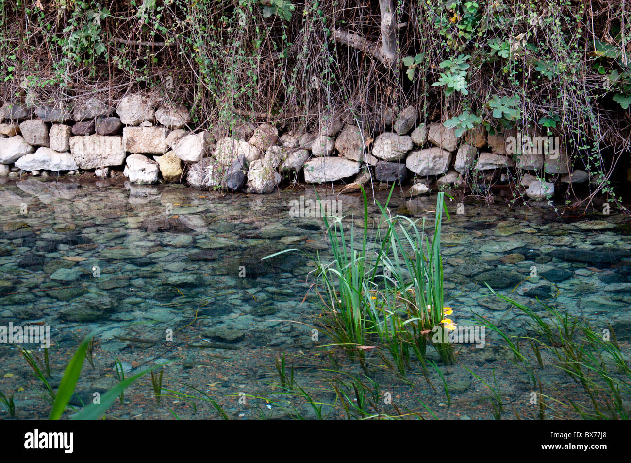 The Hermon River springs, a source of the Jordon River. Stock Photo