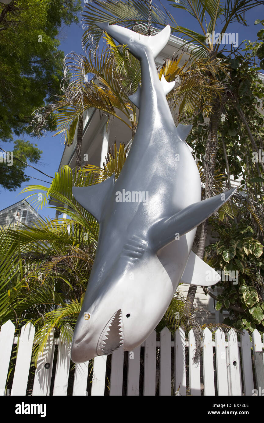 Fake shark hanging downward in Key West, Florida, United States of
