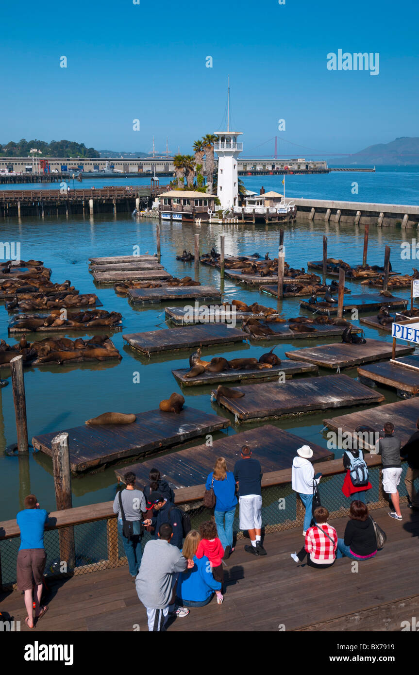 170 Pier 39 Marina Stock Photos, High-Res Pictures, and Images - Getty  Images