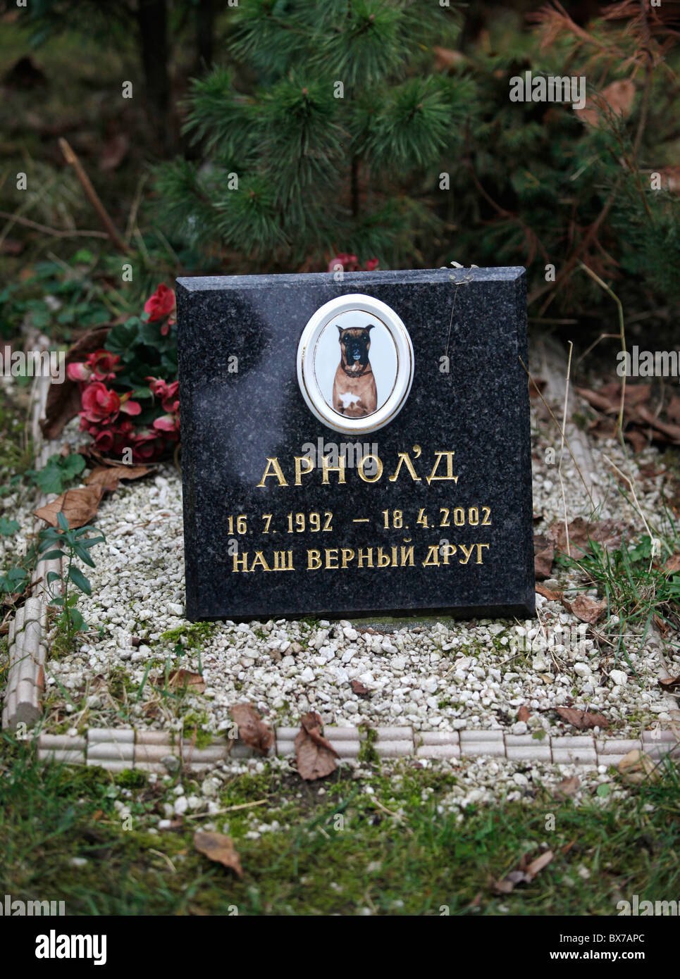 dog's, pet cemetery, grave stones, toys Stock Photo: 33353556 - Alamy