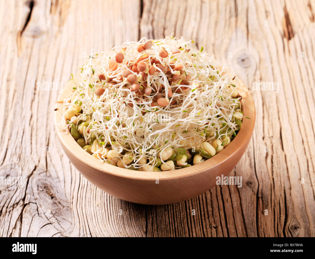 Bowl of mung beans and lentil sprouts Stock Photo Alamy