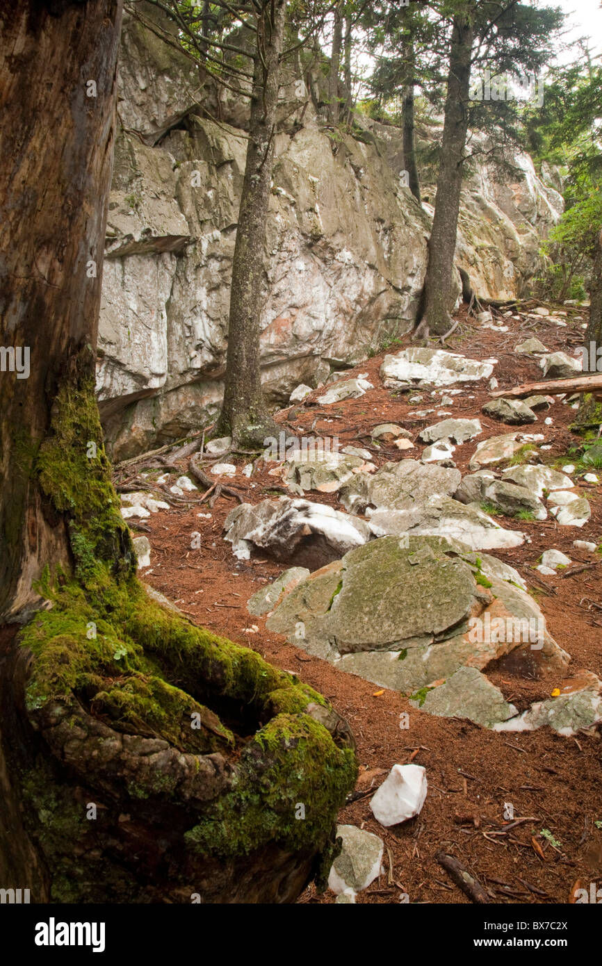 Quartz, Shining Rock Wilderness Area, Pisgah National Forest, NC Stock ...