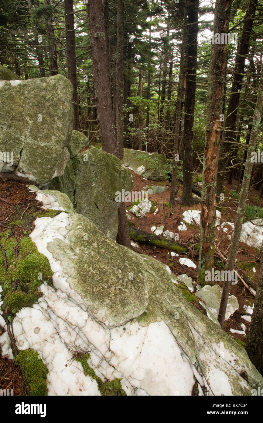 Quartz, Shining Rock Wilderness Area, Pisgah National Forest, NC Stock