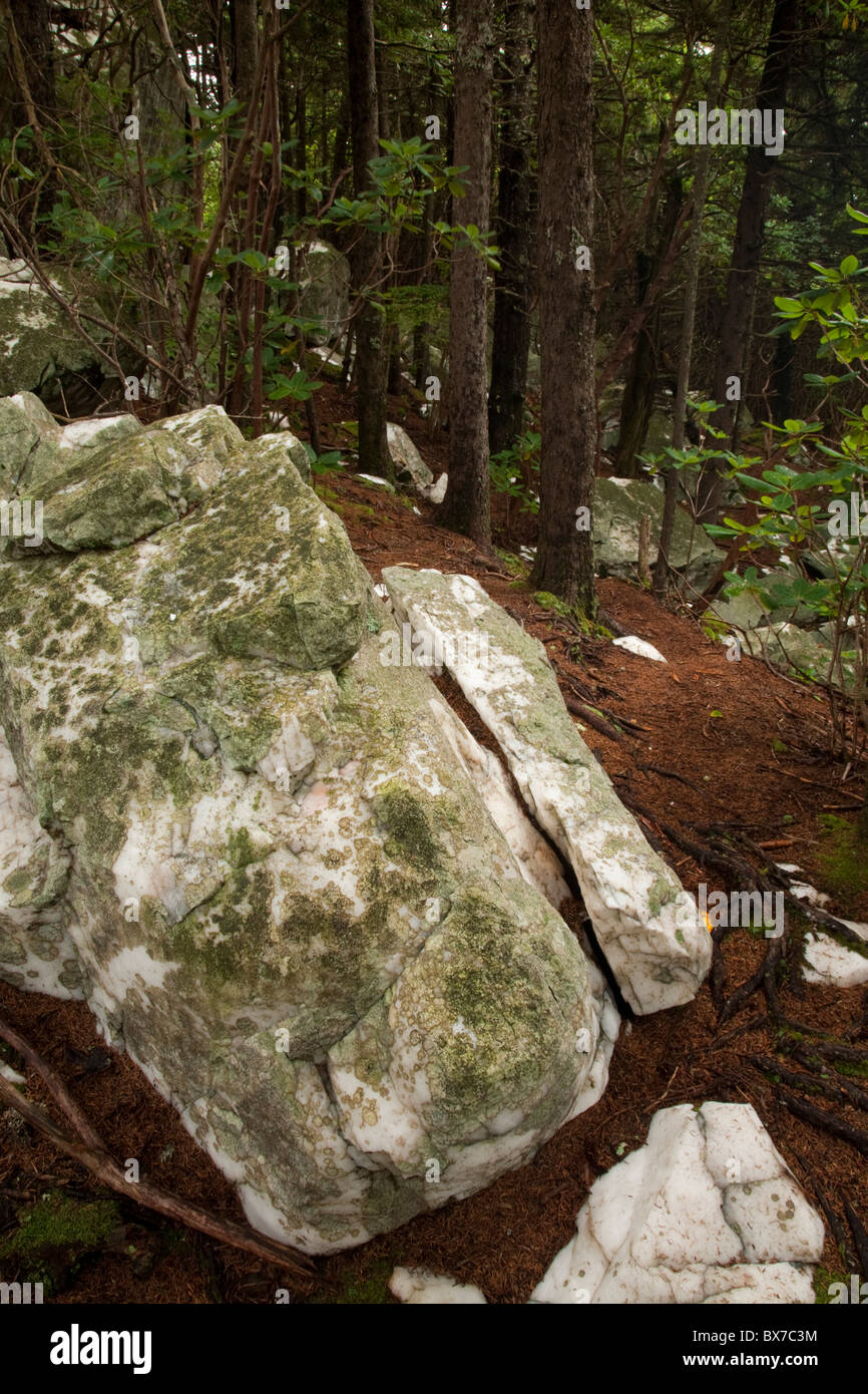 Quartz, Shining Rock Wilderness Area, Pisgah National Forest, NC Stock