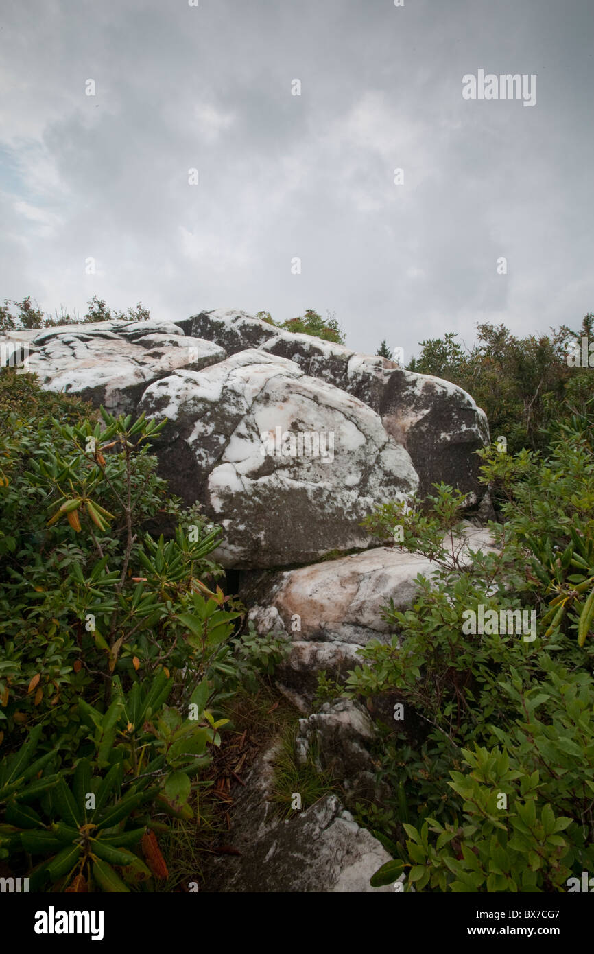 Quartz, Shining Rock Wilderness Area, Pisgah National Forest, NC Stock