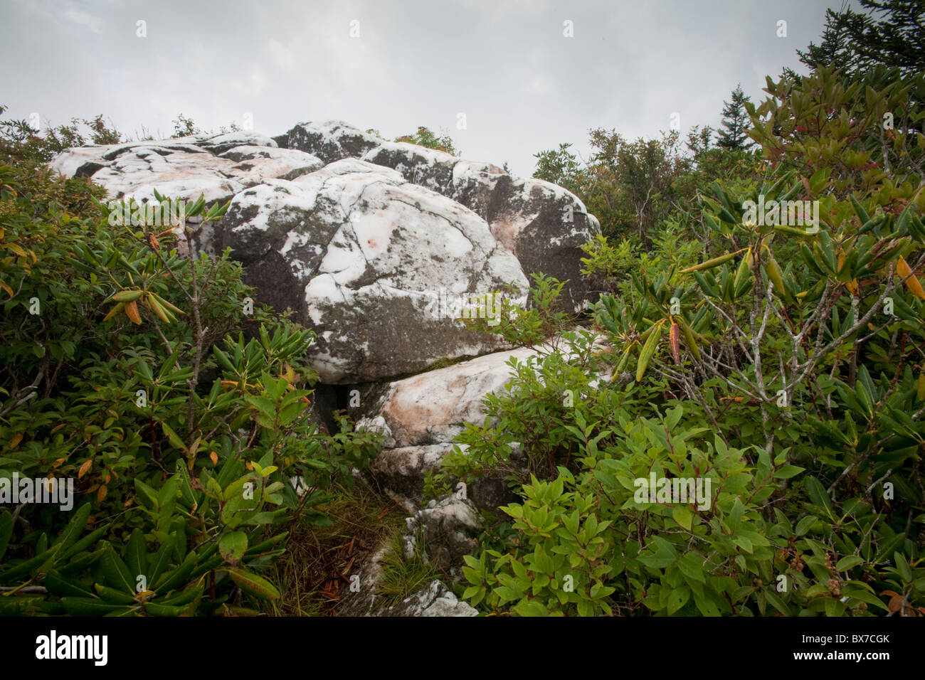 Quartz, Shining Rock Wilderness Area, Pisgah National Forest, NC Stock