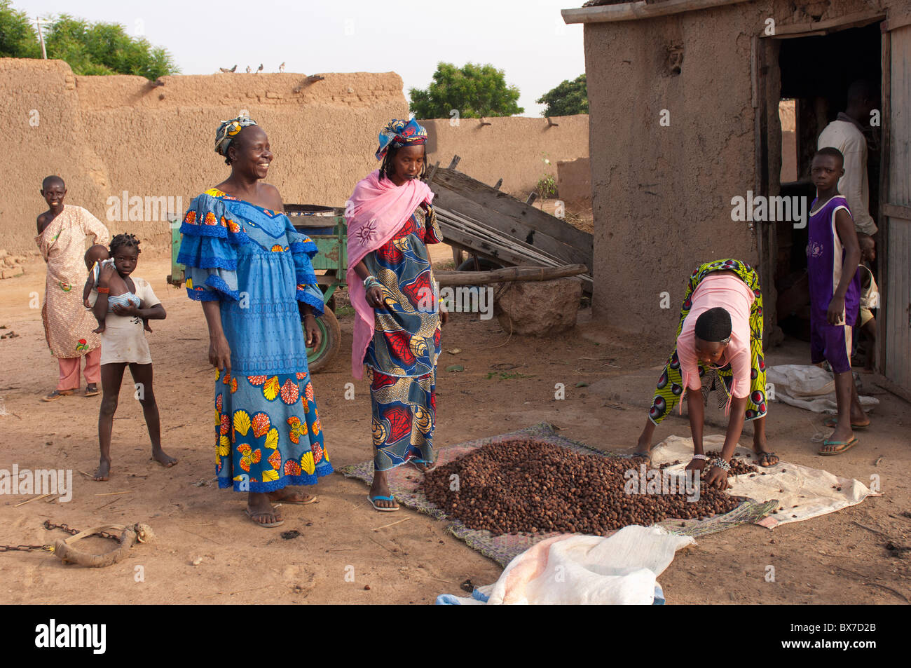 Female villagers collecting shea nuts in front of a small building with an oilpress. Mali, West Africa Stock Photo