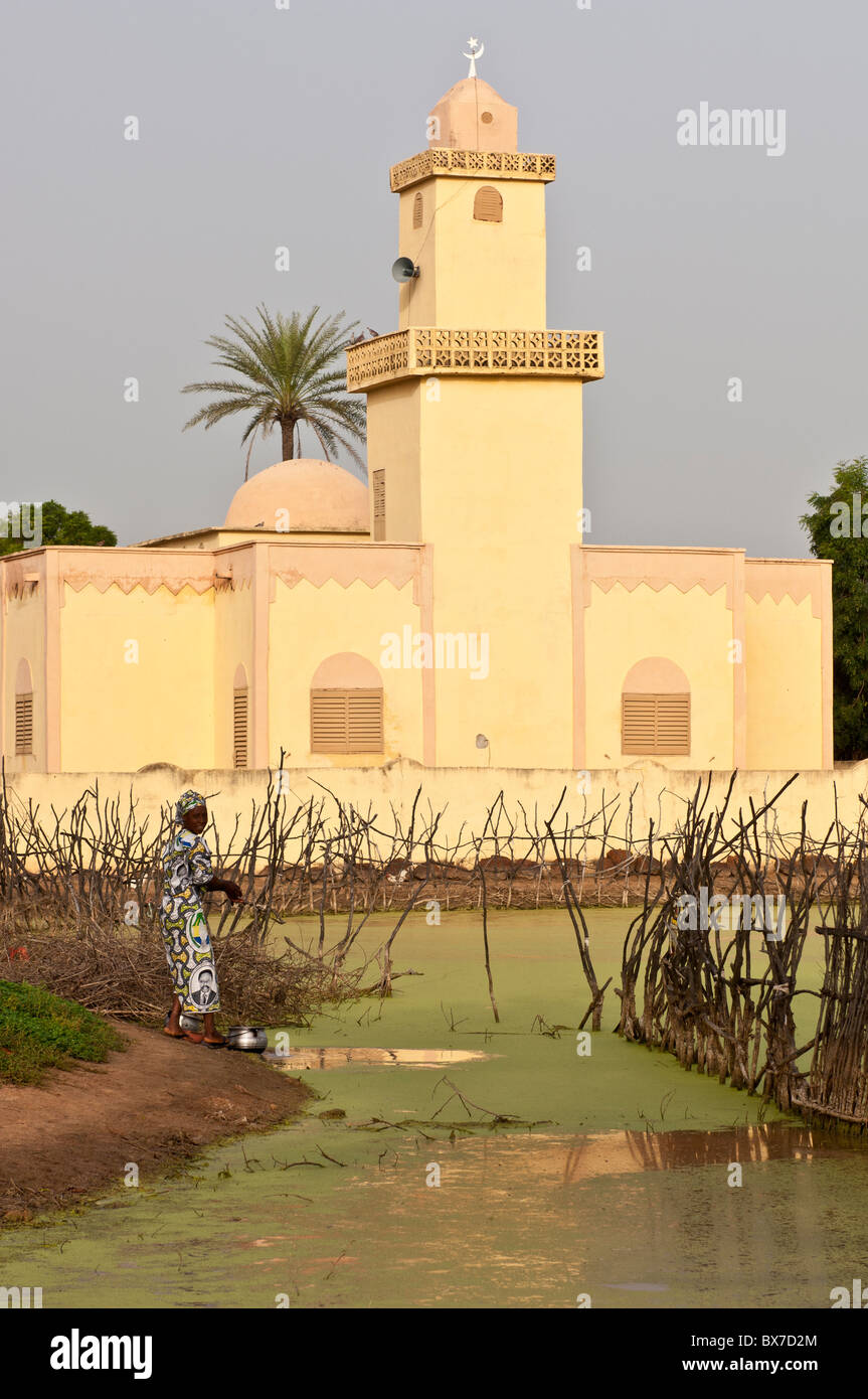 Yellow coloured, modern shaped, mosque in front of a duckweed covered pond in a rural village in Mali, West Africa. Stock Photo