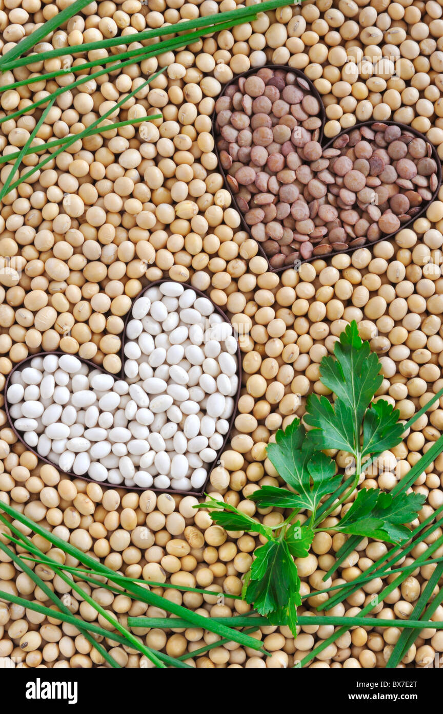 Lentils, soybeans, beans with herbs - pulse concept - detail - from above Stock Photo