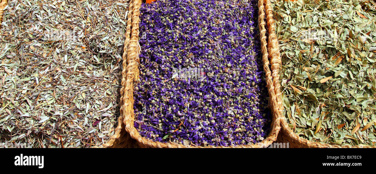 herbal natural medicine market plants leaves traditional medicine Stock Photo