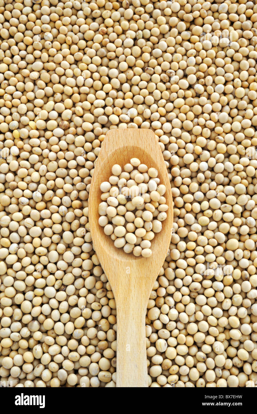 Wooden spoon and dried soybeans - detail - from above Stock Photo