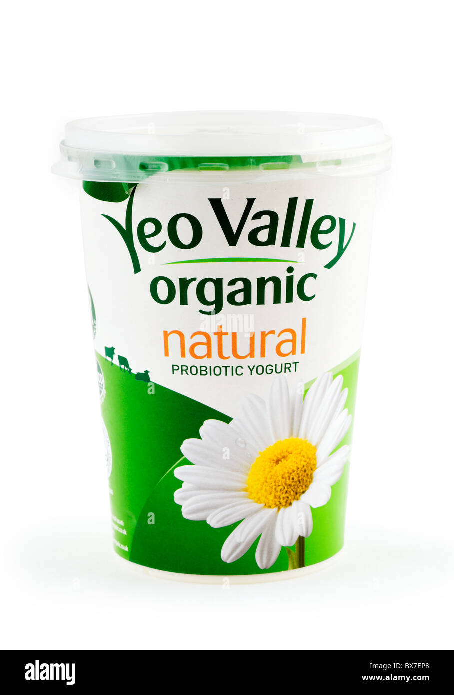 Large Pot of Yeo Valley Organic Yogurt Stock Photo