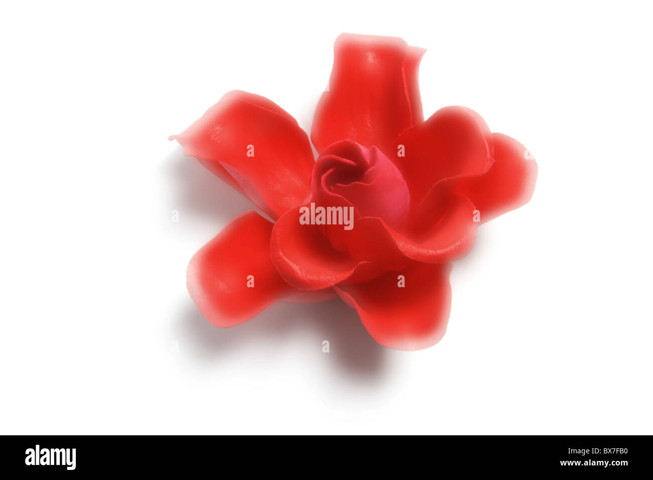 Red rose Cut Out Stock Images & Pictures - Alamy