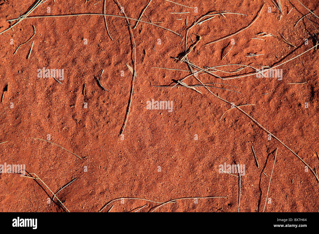 Texture of the typical red sand desert in Central Australia Stock Photo -  Alamy