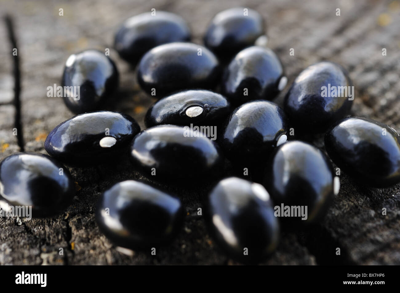Grain legume hi-res stock photography and images - Alamy