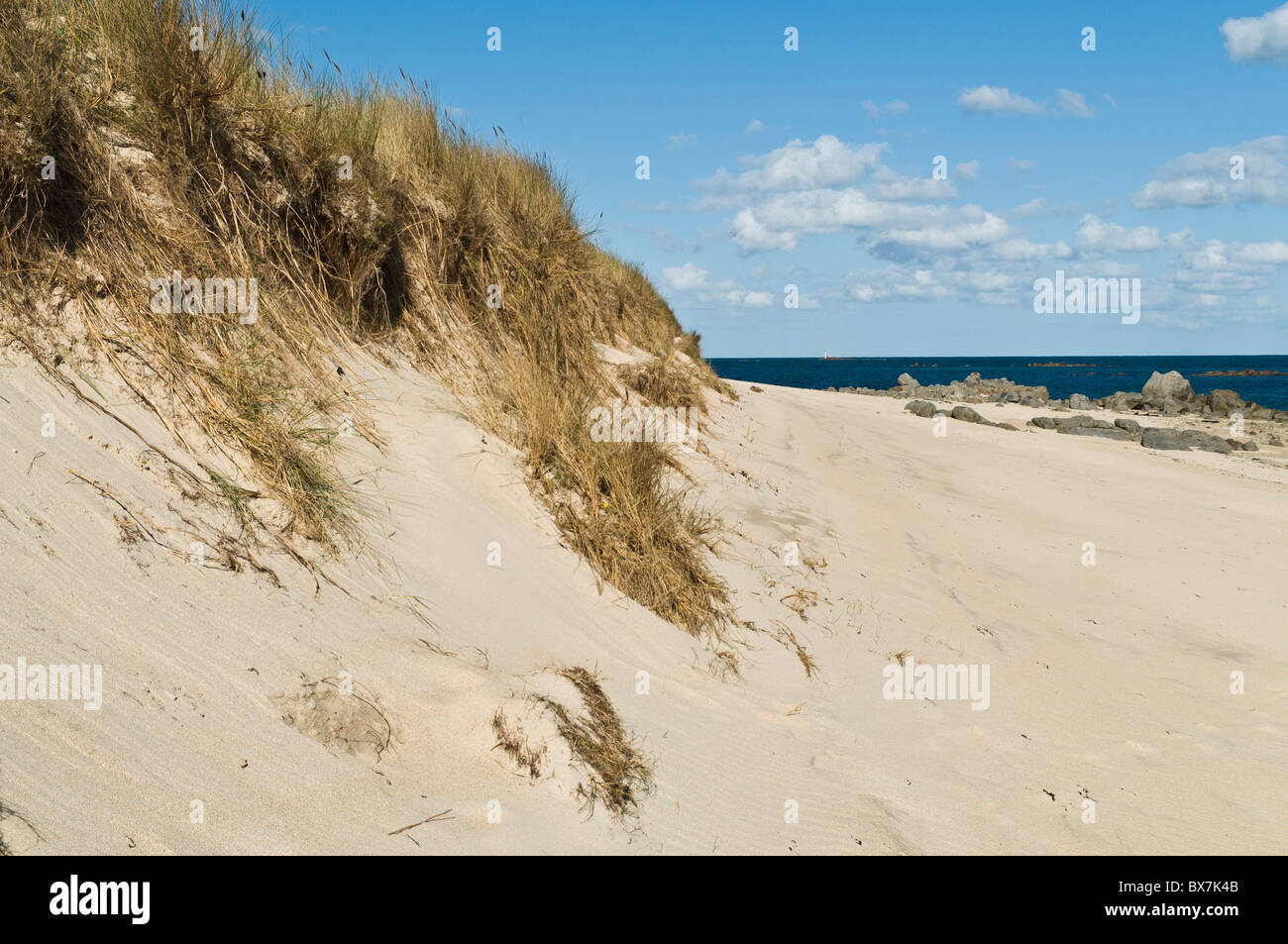 dh Herm Island HERM GUERNSEY Sand dunes Shell Beach sandy dune beaches channel islands grass grassy shore Stock Photo