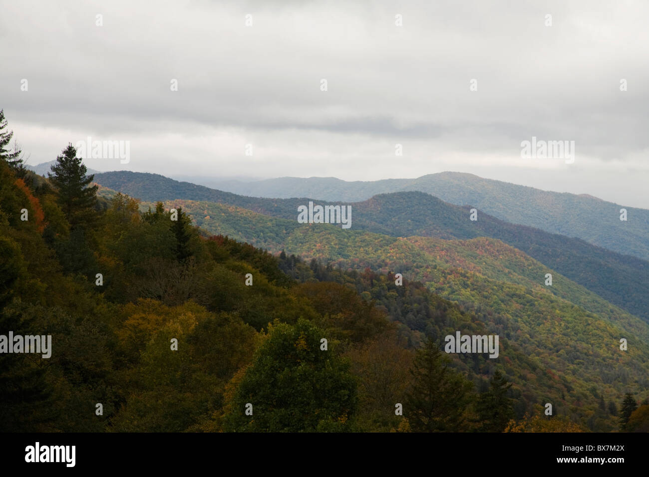 Autumn, Blue Ridge Parkway, North Carolina Stock Photo - Alamy