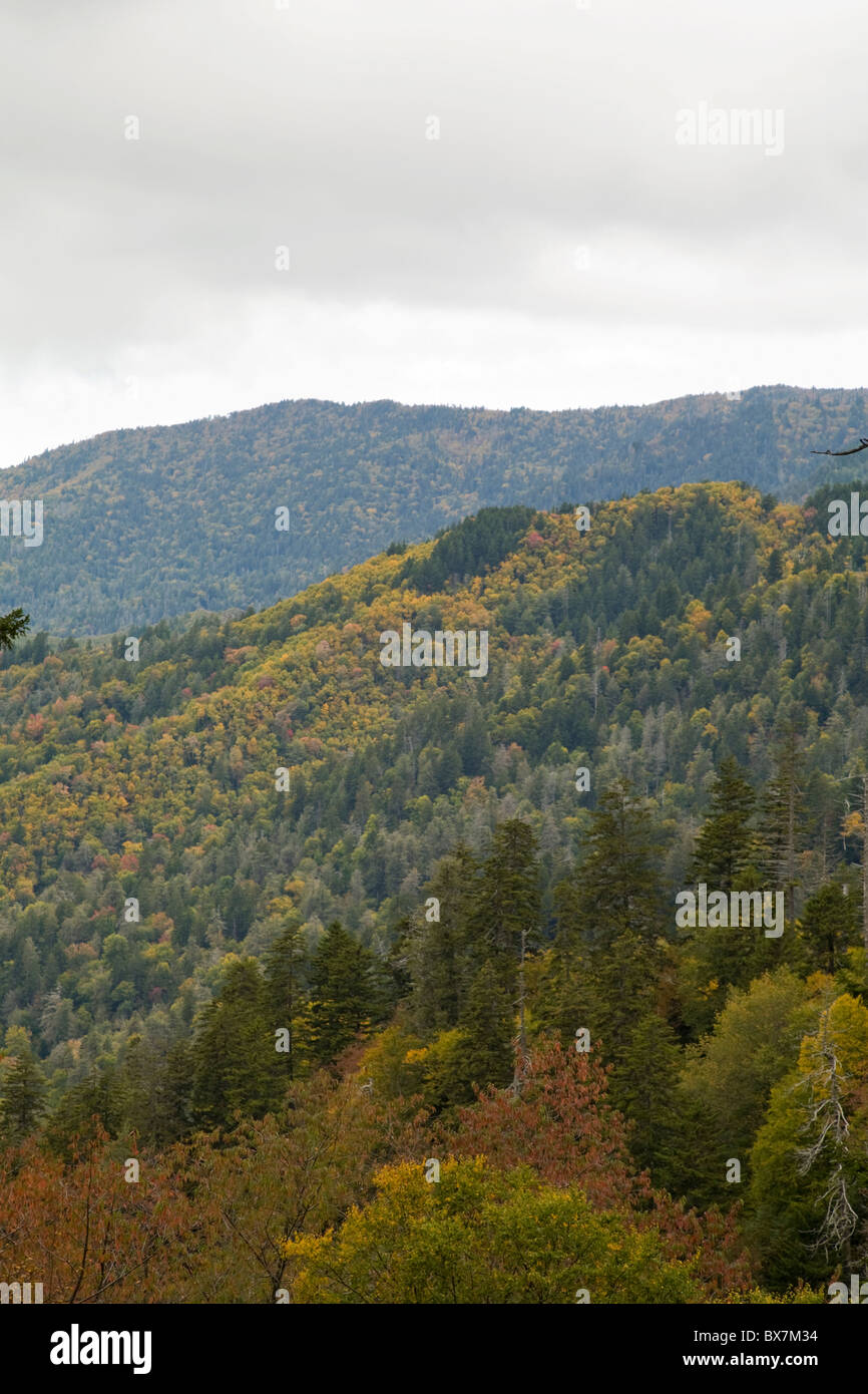 Autumn, Blue Ridge Parkway, North Carolina Stock Photo - Alamy