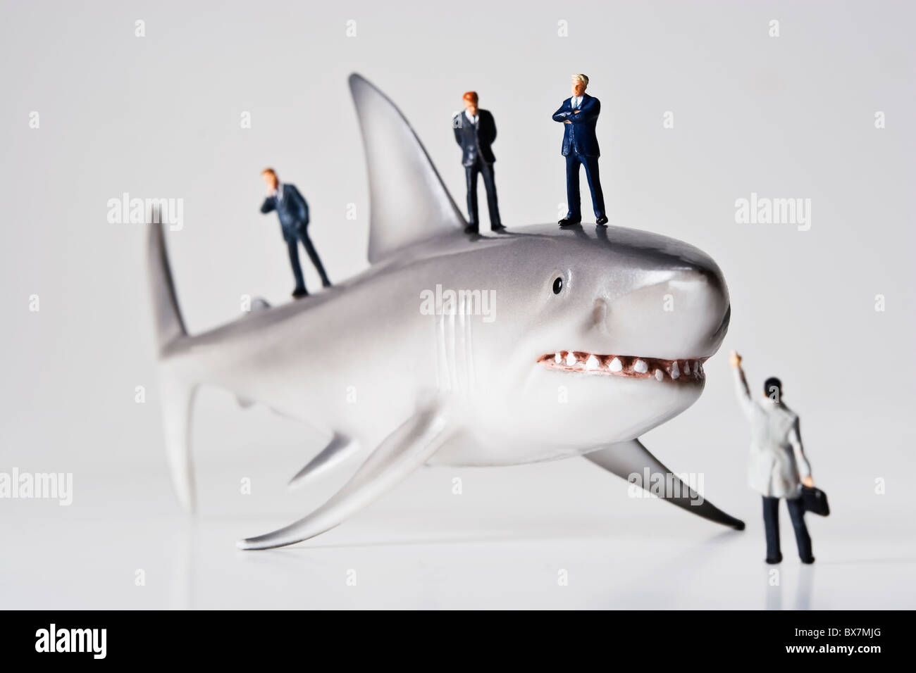 Business figurines placed with a shark figurine. Stock Photo