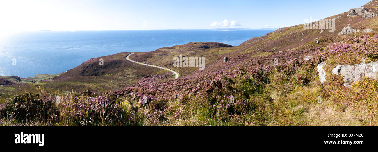 A panoramic view of heather on the Mull of Kintyre, Argyll & Bute, Scotland - Islay and Jura are visible in the background Stock Photo