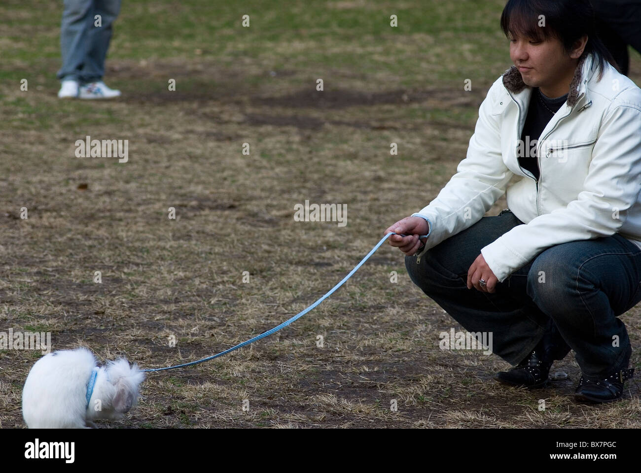 young japanese man with rabbit on leash in yoyogi park, harajuko, tokyo Stock Photo